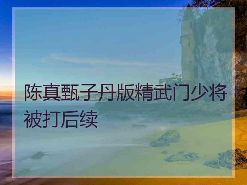 陈真甄子丹版精武门少将被打后续