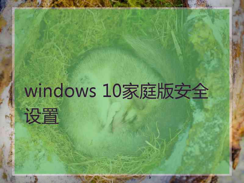 windows 10家庭版安全设置