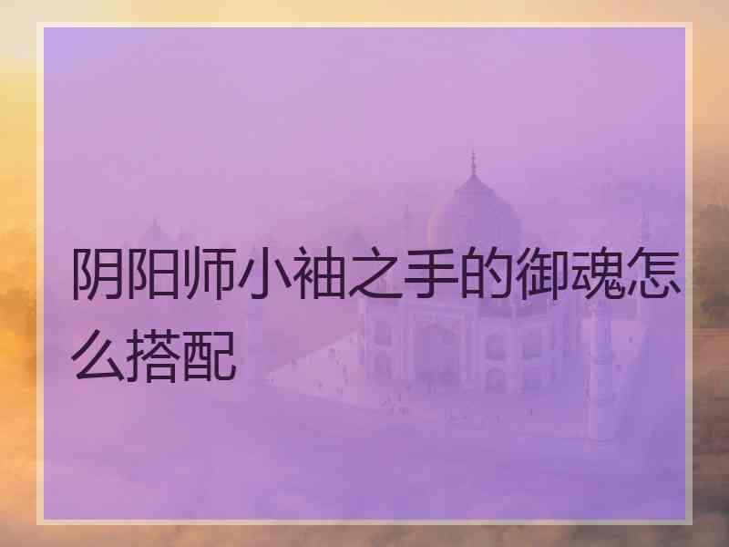 阴阳师小袖之手的御魂怎么搭配