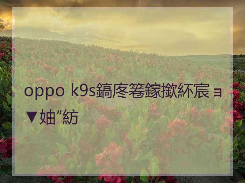 oppo k9s鎬庝箞鎵撳紑宸ョ▼妯″紡