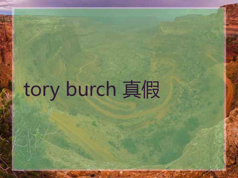 tory burch 真假