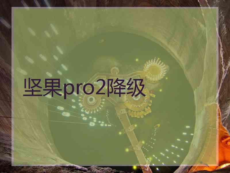 坚果pro2降级