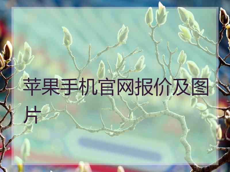 苹果手机官网报价及图片