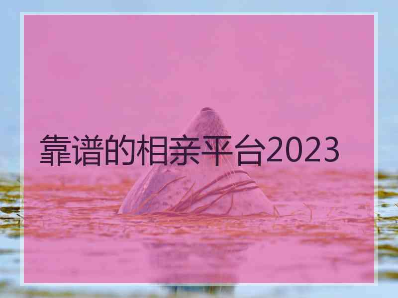 靠谱的相亲平台2023