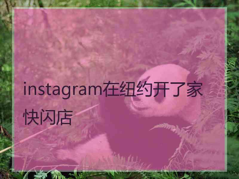 instagram在纽约开了家快闪店