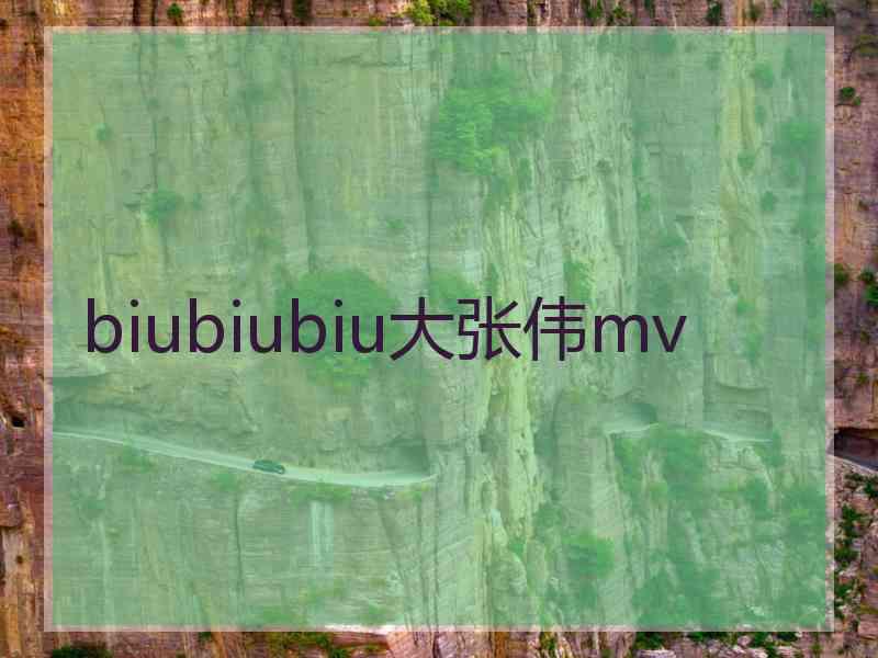 biubiubiu大张伟mv