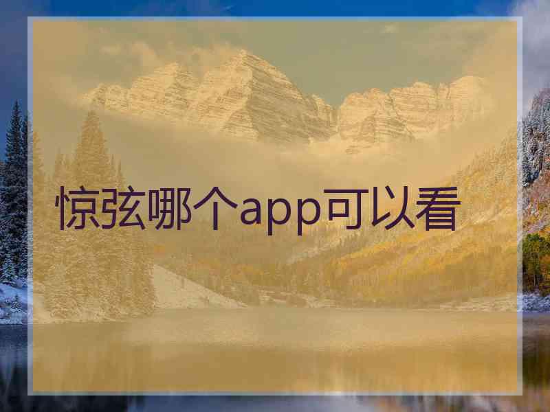 惊弦哪个app可以看