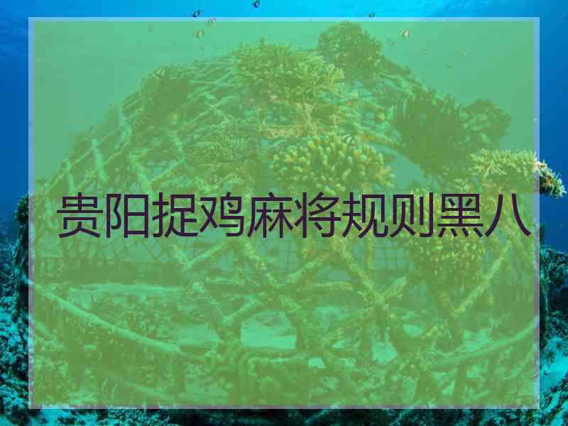 贵阳捉鸡麻将规则黑八