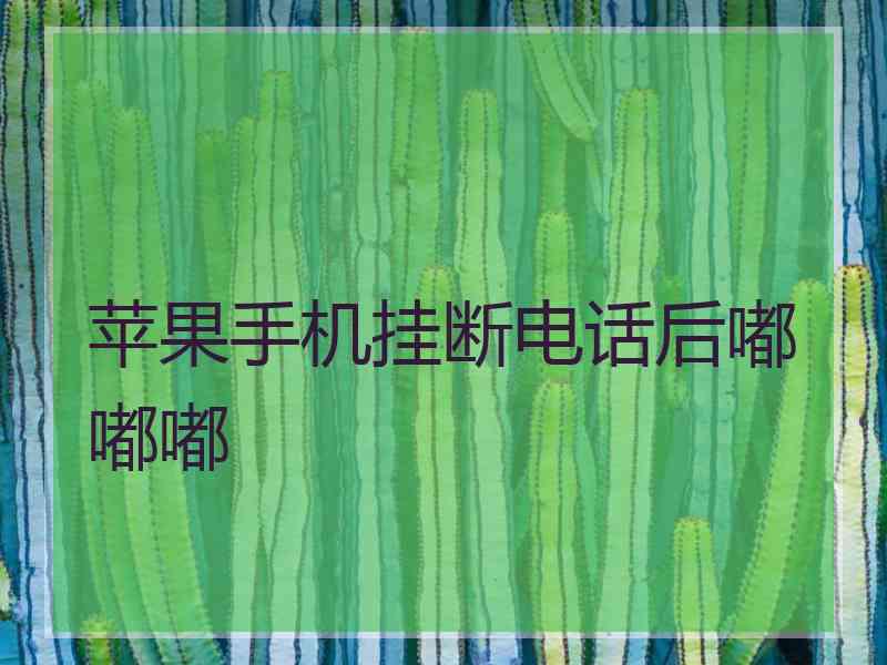 苹果手机挂断电话后嘟嘟嘟