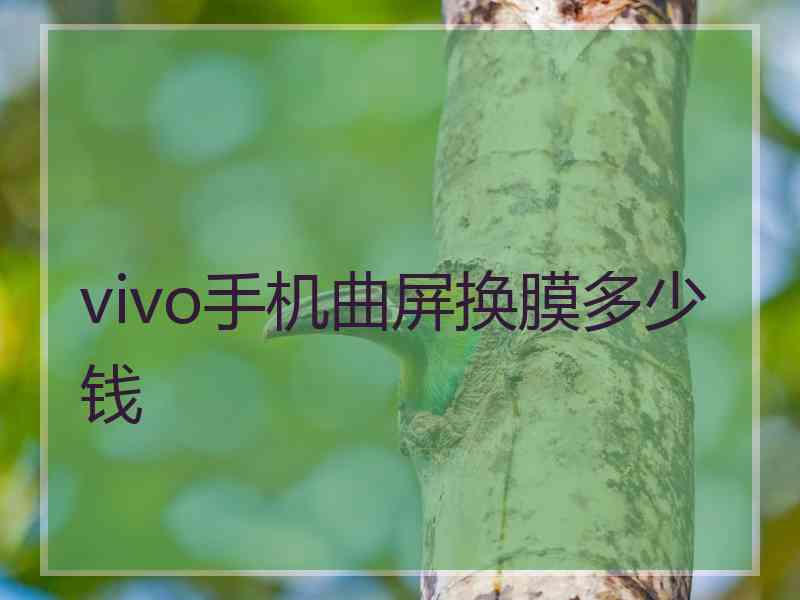 vivo手机曲屏换膜多少钱