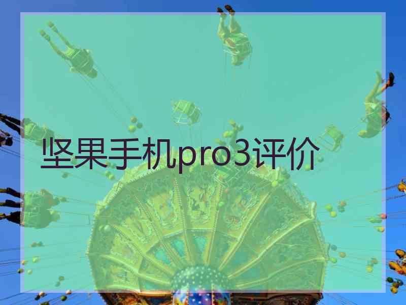 坚果手机pro3评价