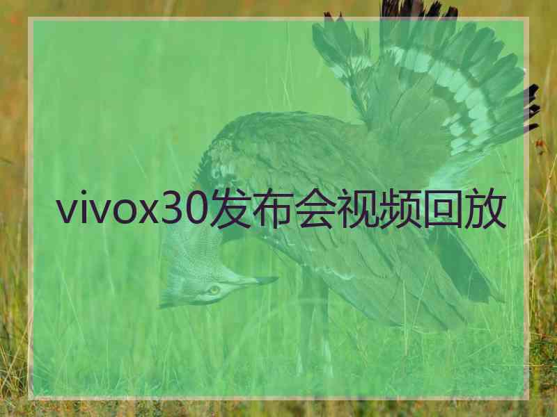 vivox30发布会视频回放