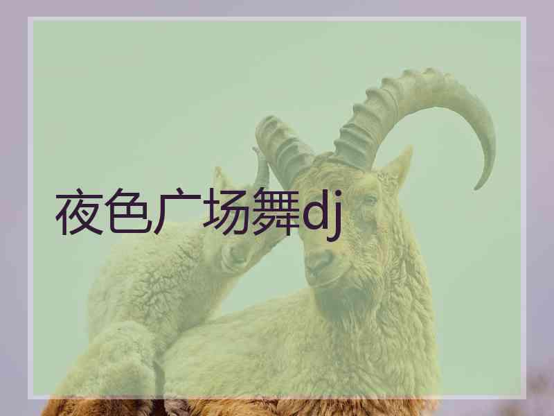 夜色广场舞dj