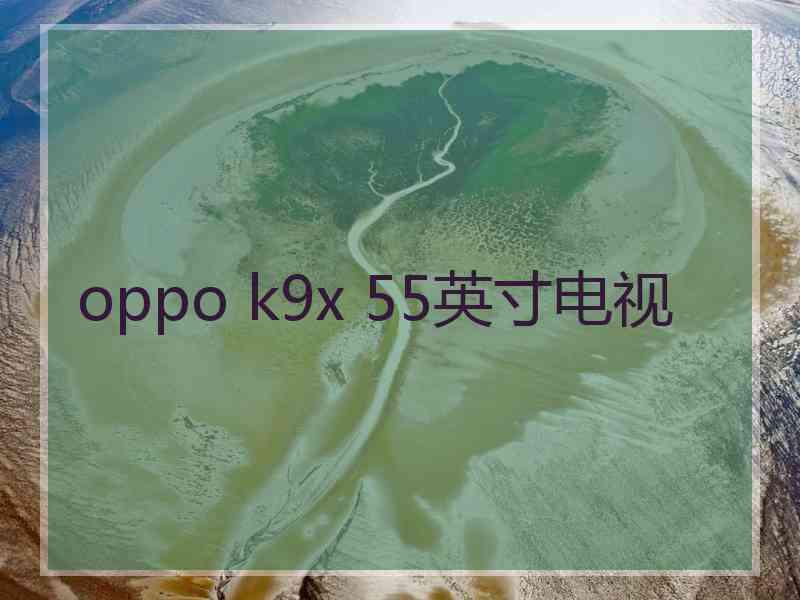 oppo k9x 55英寸电视