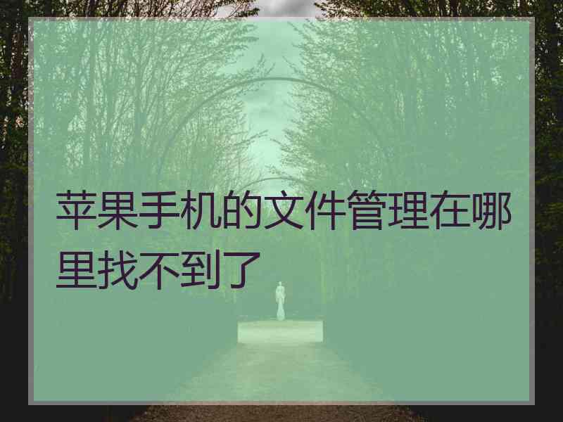 苹果手机的文件管理在哪里找不到了