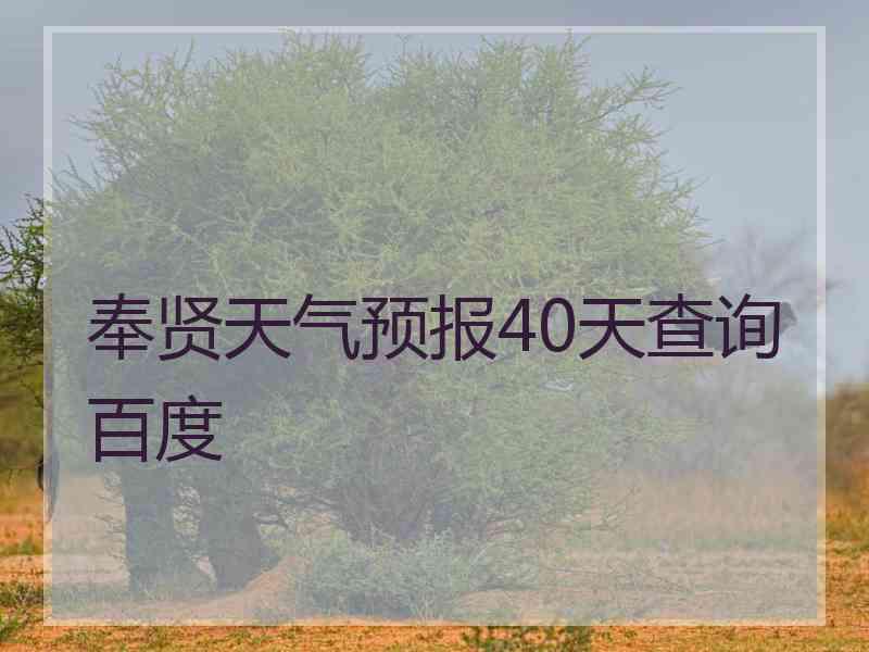 奉贤天气预报40天查询百度