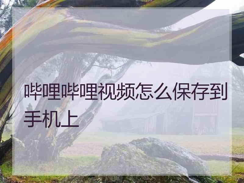 哔哩哔哩视频怎么保存到手机上