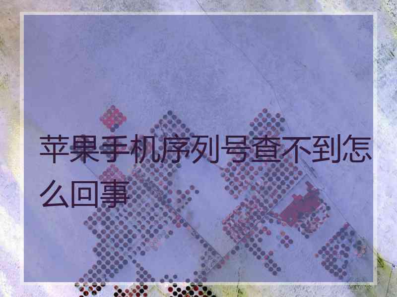 苹果手机序列号查不到怎么回事