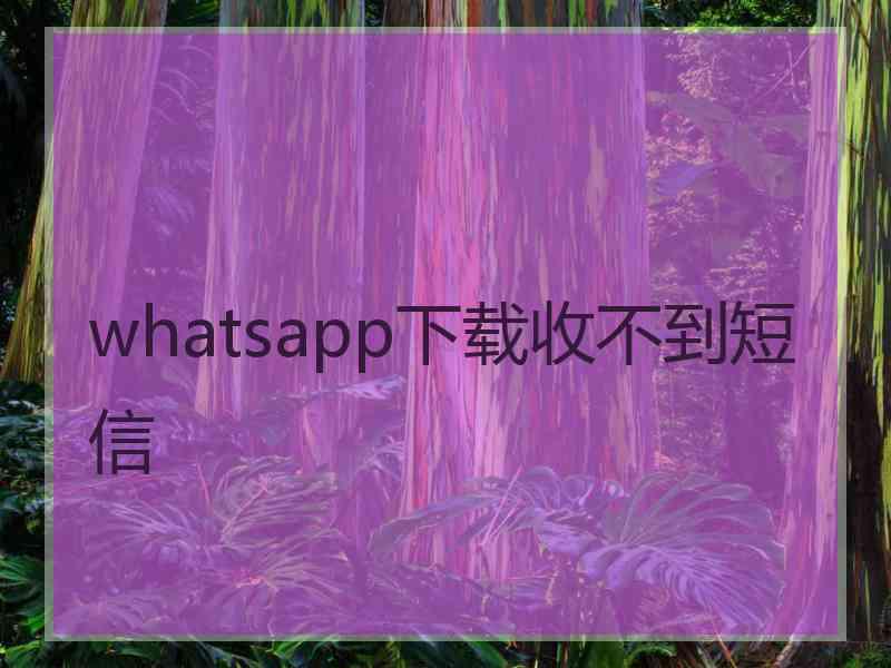 whatsapp下载收不到短信