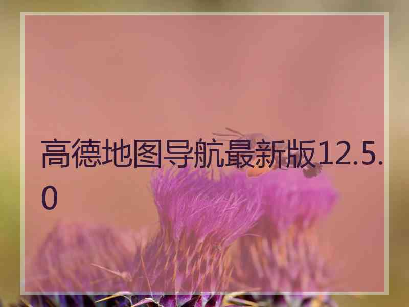 高德地图导航最新版12.5.0