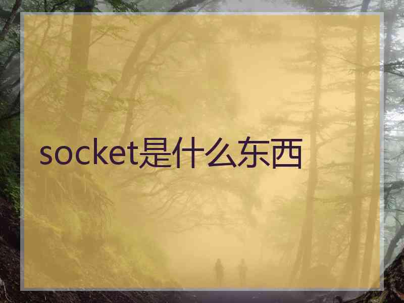 socket是什么东西