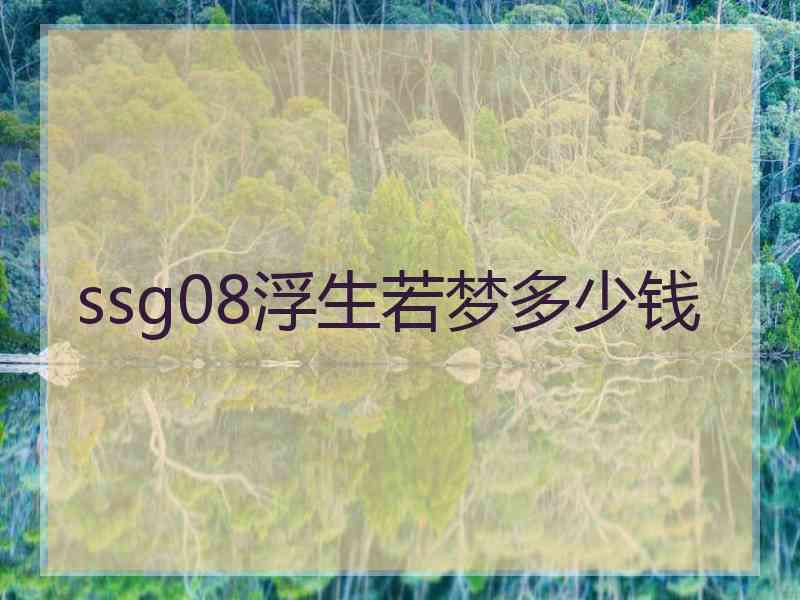 ssg08浮生若梦多少钱