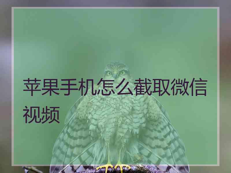 苹果手机怎么截取微信视频