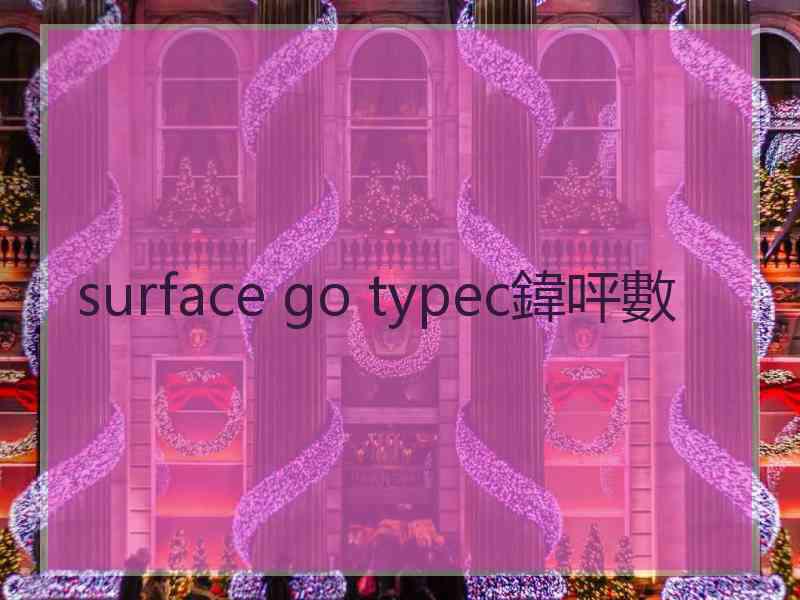 surface go typec鍏呯數