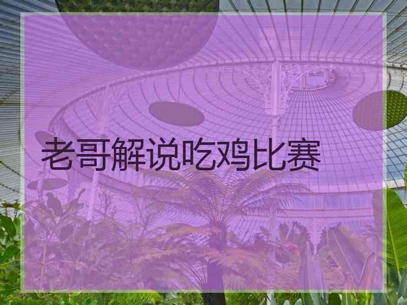 老哥解说吃鸡比赛