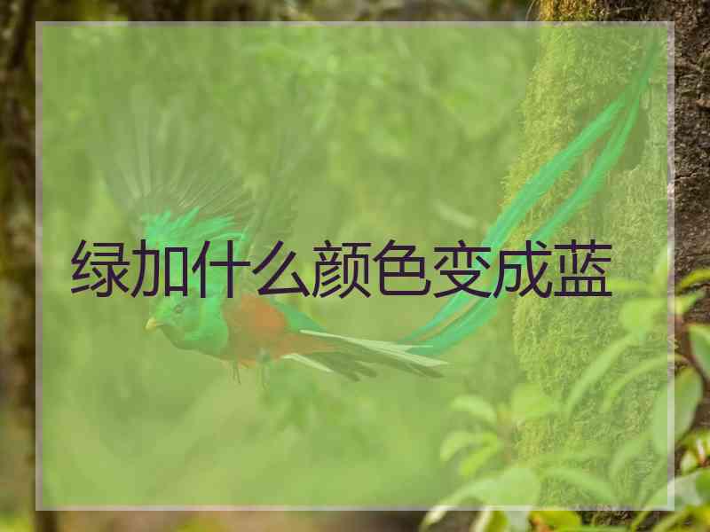 绿加什么颜色变成蓝