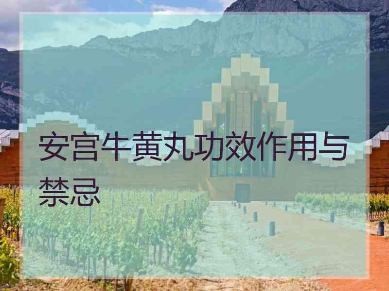 安宫牛黄丸功效作用与禁忌