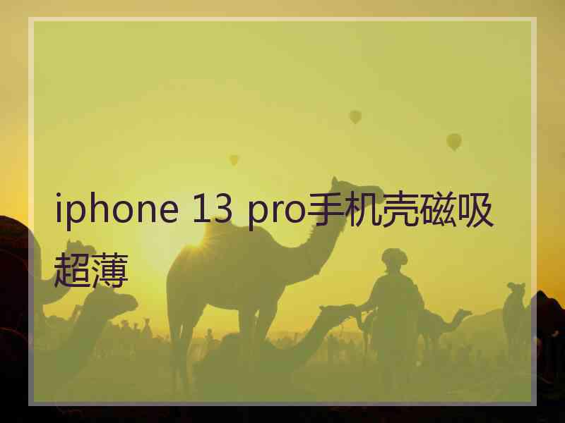 iphone 13 pro手机壳磁吸超薄