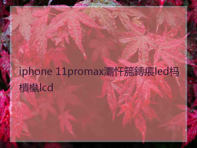 iphone 11promax灞忓箷鏄痮led杩樻槸lcd