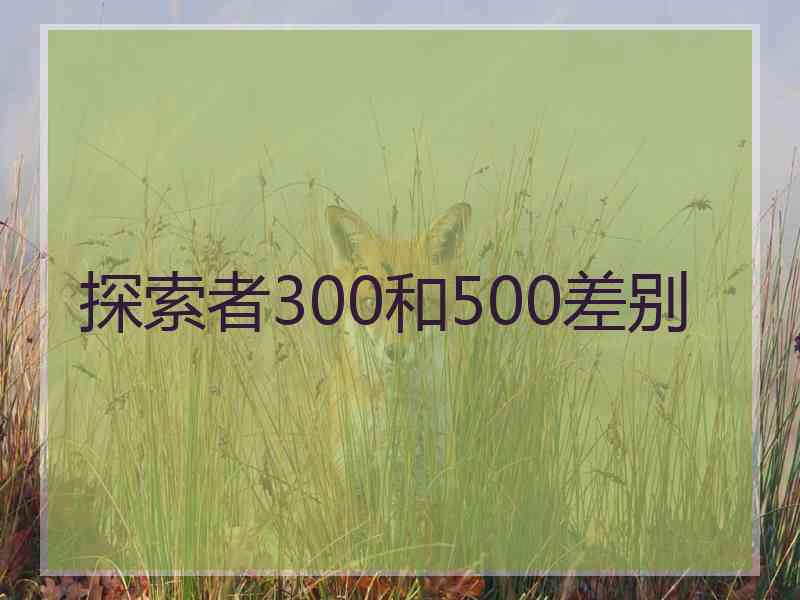 探索者300和500差别