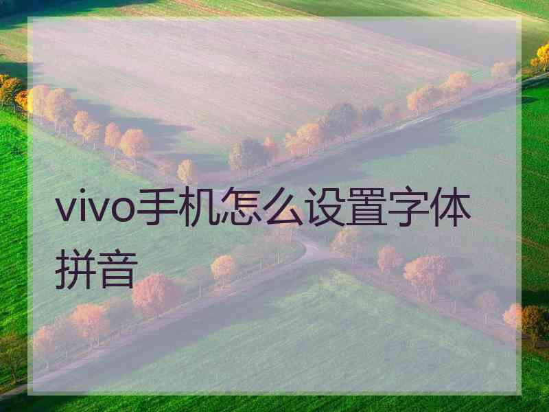 vivo手机怎么设置字体拼音