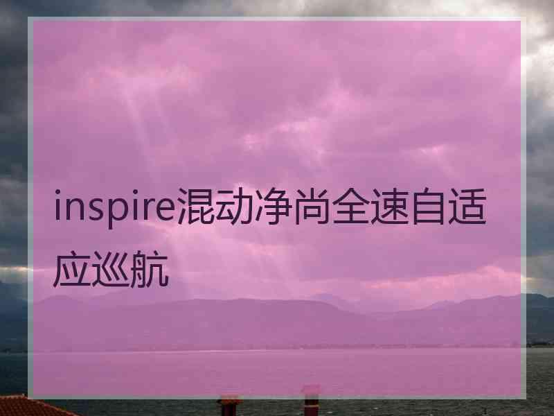 inspire混动净尚全速自适应巡航