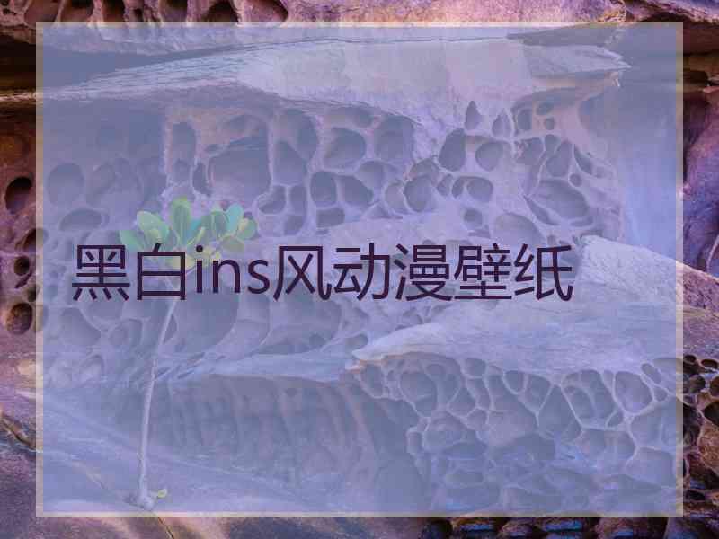 黑白ins风动漫壁纸