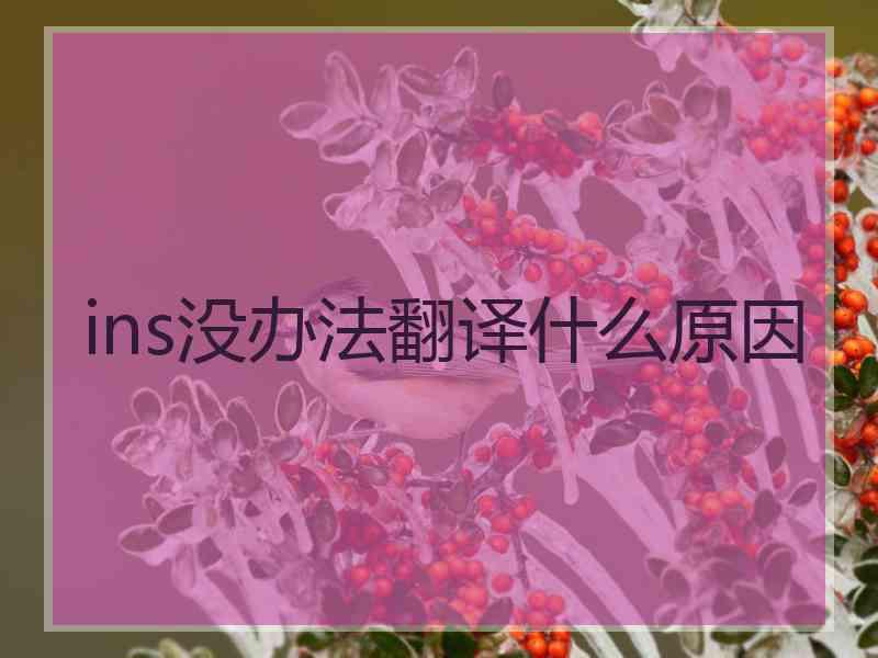 ins没办法翻译什么原因