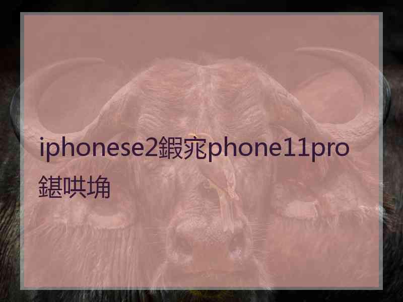 iphonese2鍜宨phone11pro鍖哄埆