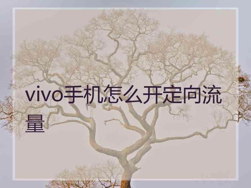 vivo手机怎么开定向流量