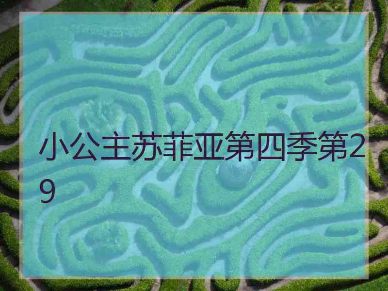 小公主苏菲亚第四季第29