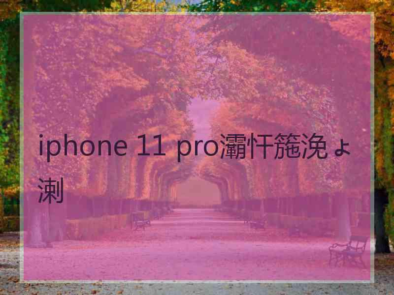 iphone 11 pro灞忓箷浼ょ溂