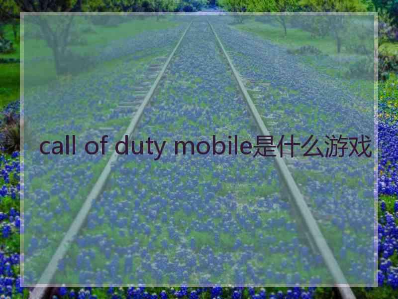 call of duty mobile是什么游戏