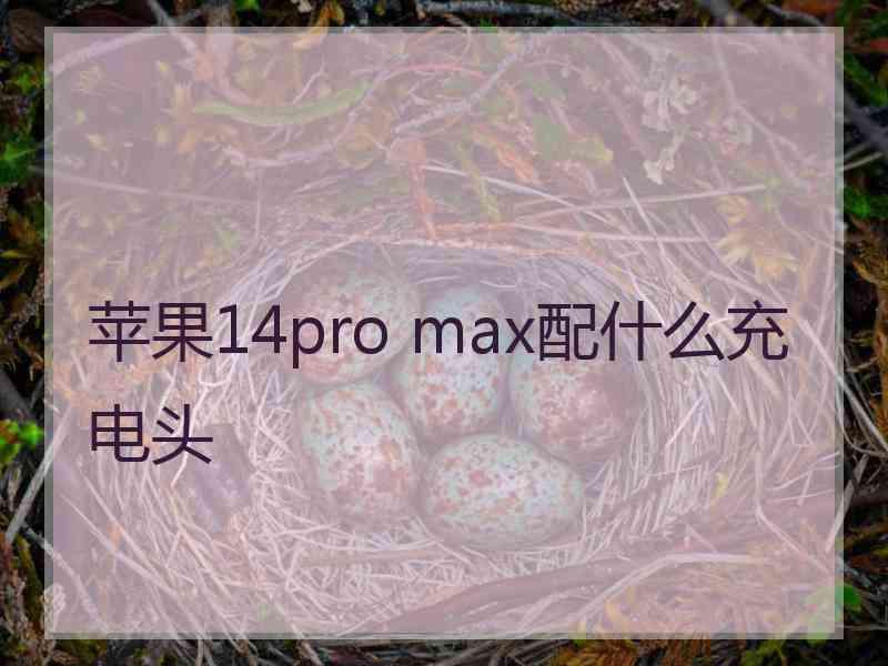 苹果14pro max配什么充电头