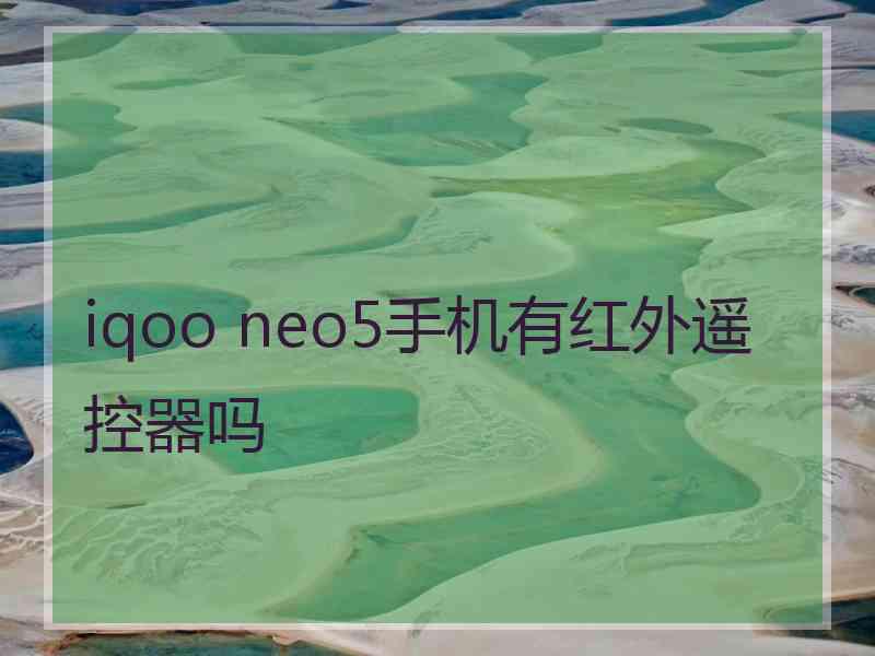 iqoo neo5手机有红外遥控器吗