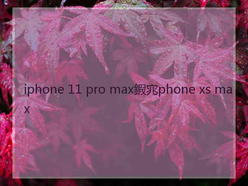 iphone 11 pro max鍜宨phone xs max