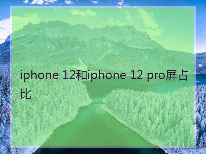 iphone 12和iphone 12 pro屏占比