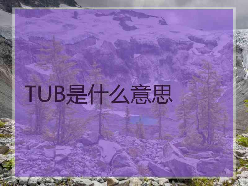 TUB是什么意思