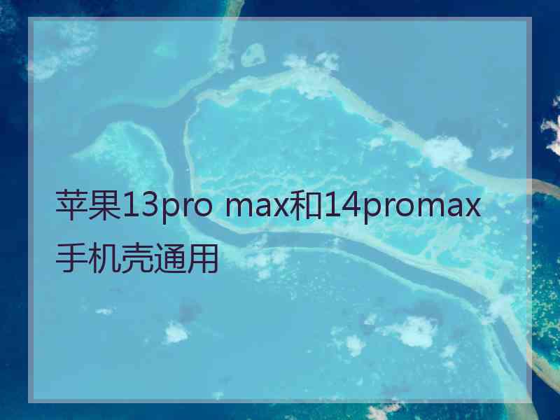 苹果13pro max和14promax手机壳通用