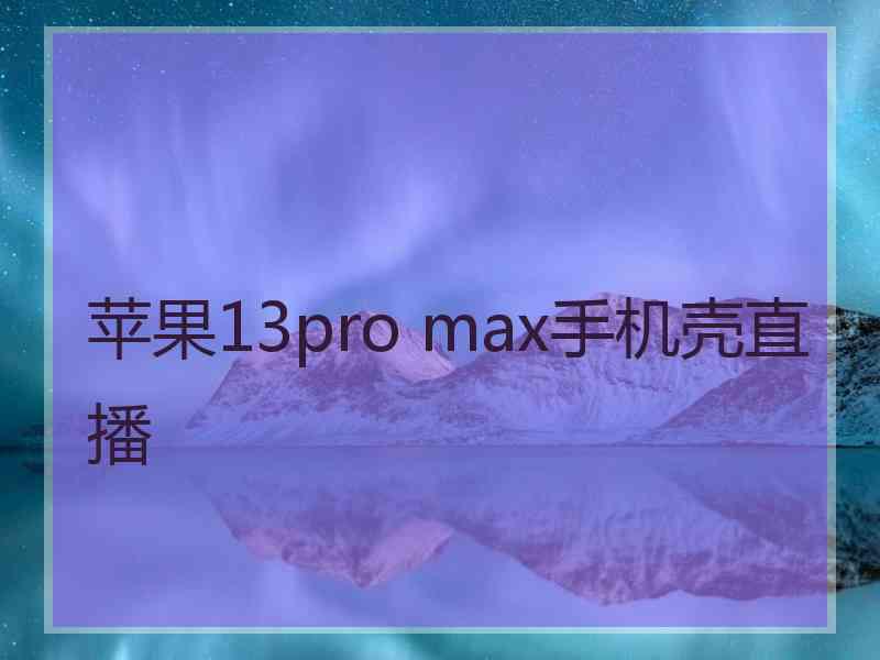 苹果13pro max手机壳直播